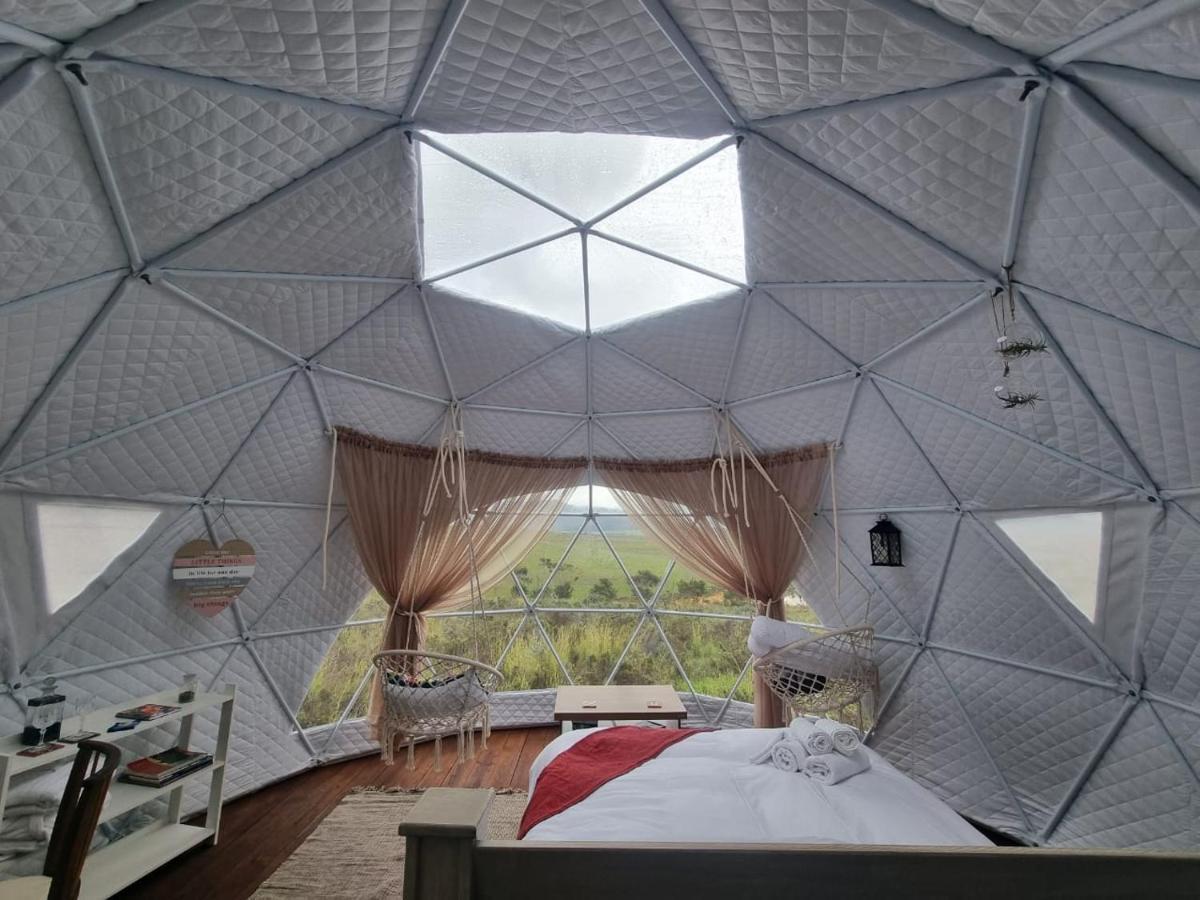 Pom Gratz - Ecodomes Hotel Hartebeesrivier Kültér fotó