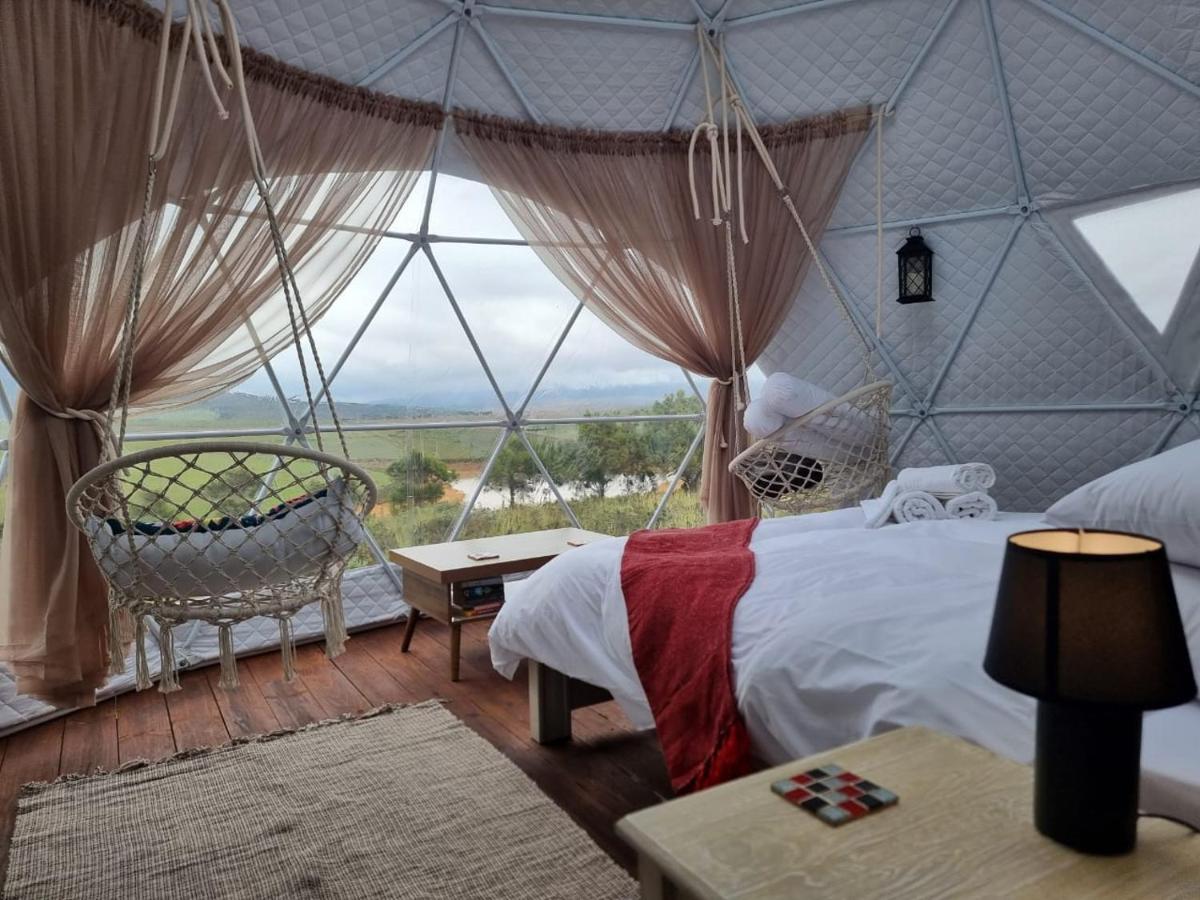 Pom Gratz - Ecodomes Hotel Hartebeesrivier Kültér fotó