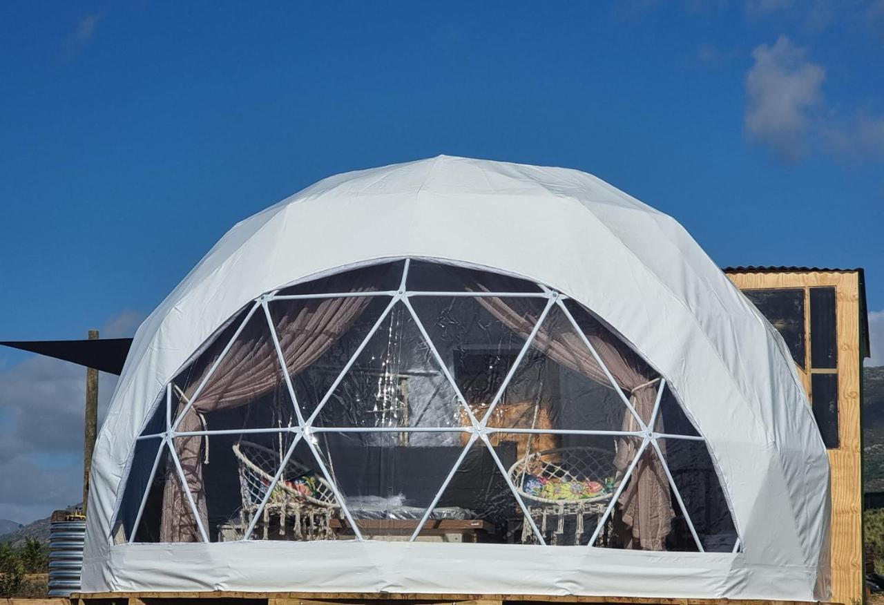 Pom Gratz - Ecodomes Hotel Hartebeesrivier Kültér fotó