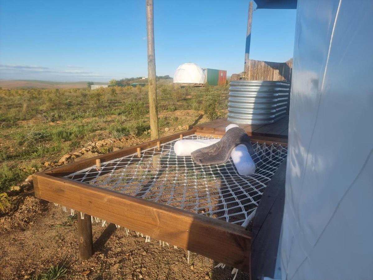 Pom Gratz - Ecodomes Hotel Hartebeesrivier Kültér fotó
