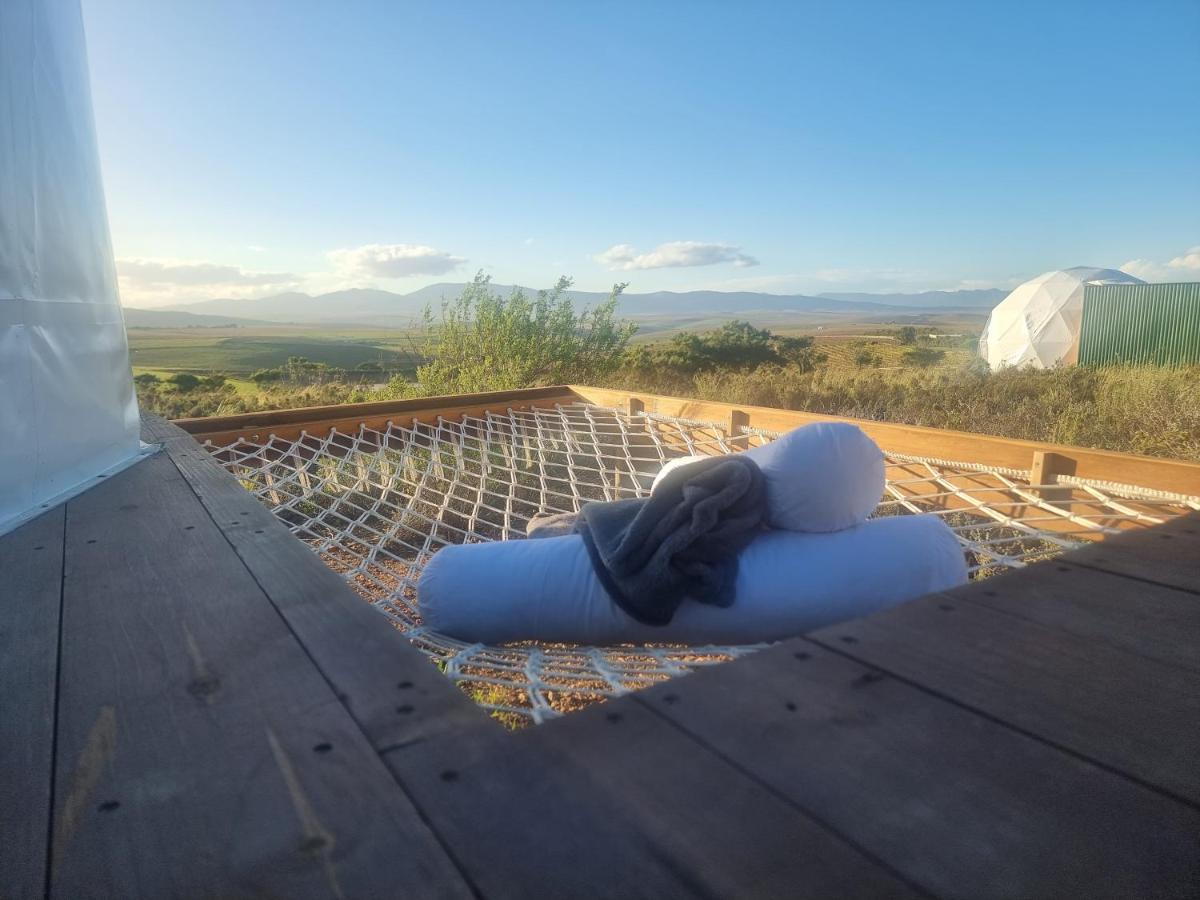 Pom Gratz - Ecodomes Hotel Hartebeesrivier Kültér fotó