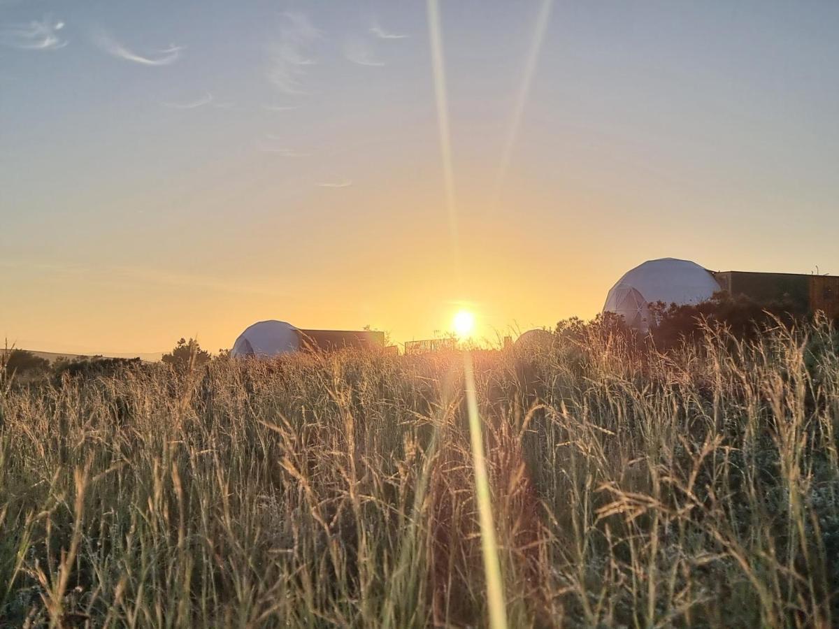 Pom Gratz - Ecodomes Hotel Hartebeesrivier Kültér fotó