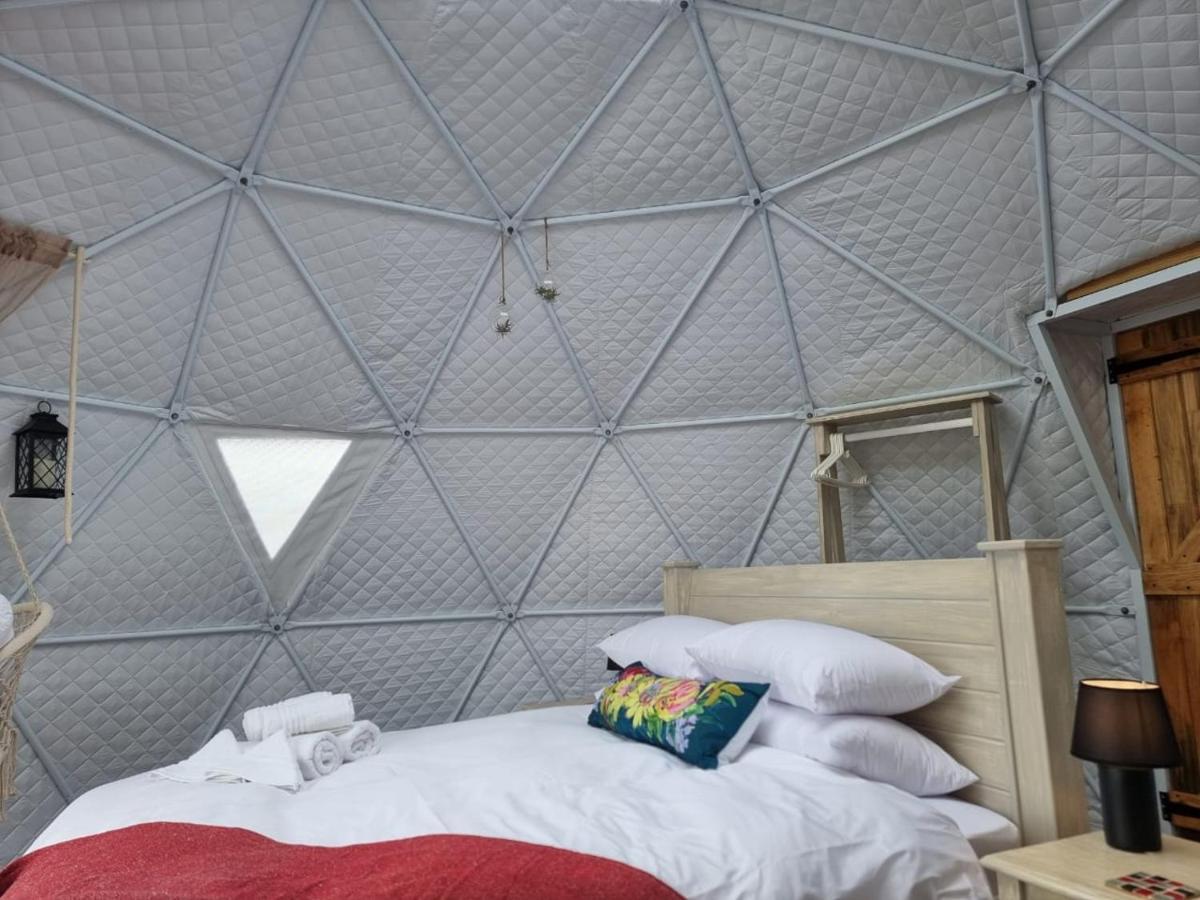 Pom Gratz - Ecodomes Hotel Hartebeesrivier Kültér fotó
