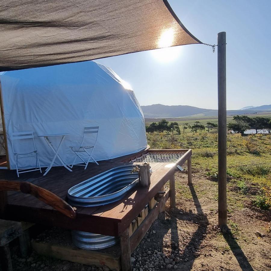 Pom Gratz - Ecodomes Hotel Hartebeesrivier Kültér fotó