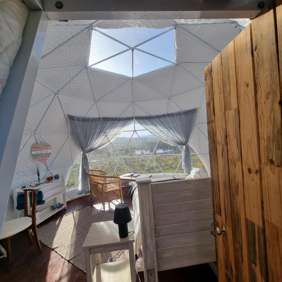 Pom Gratz - Ecodomes Hotel Hartebeesrivier Kültér fotó