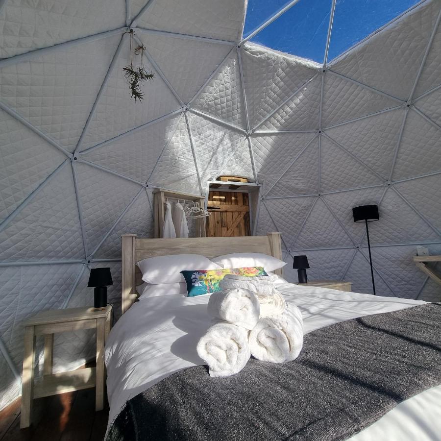 Pom Gratz - Ecodomes Hotel Hartebeesrivier Kültér fotó